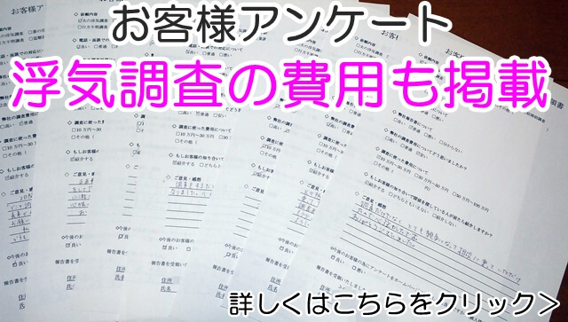 浮気調査費用　アンケート.JPG